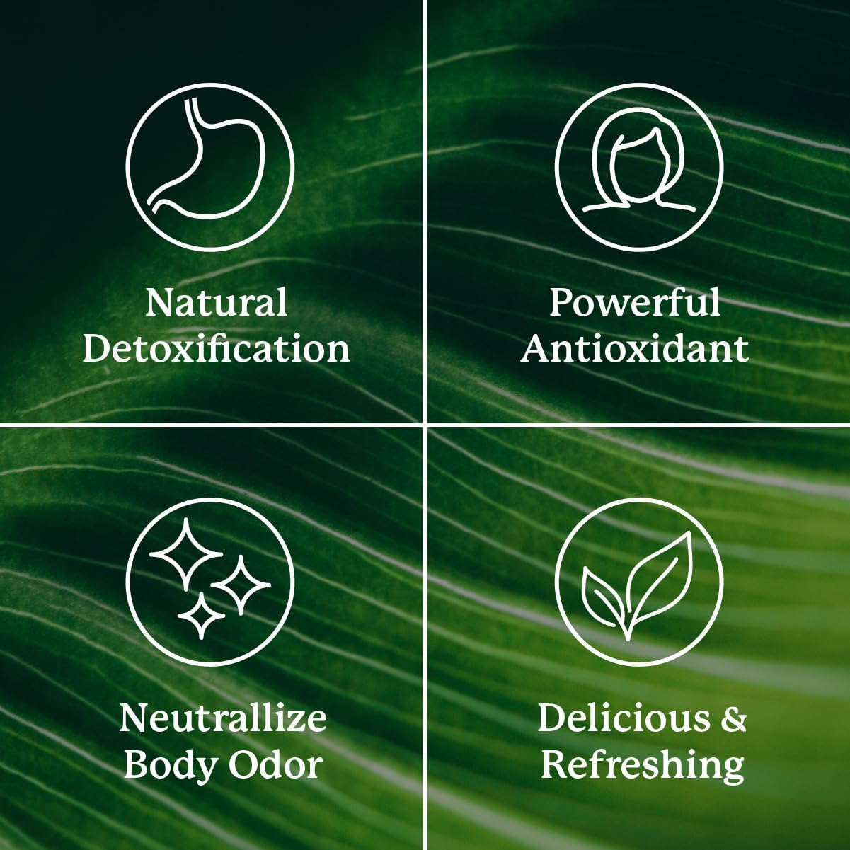 Nature's Sunshine Chlorophyll Detoxifying Sticks 30s - Cutprice Online