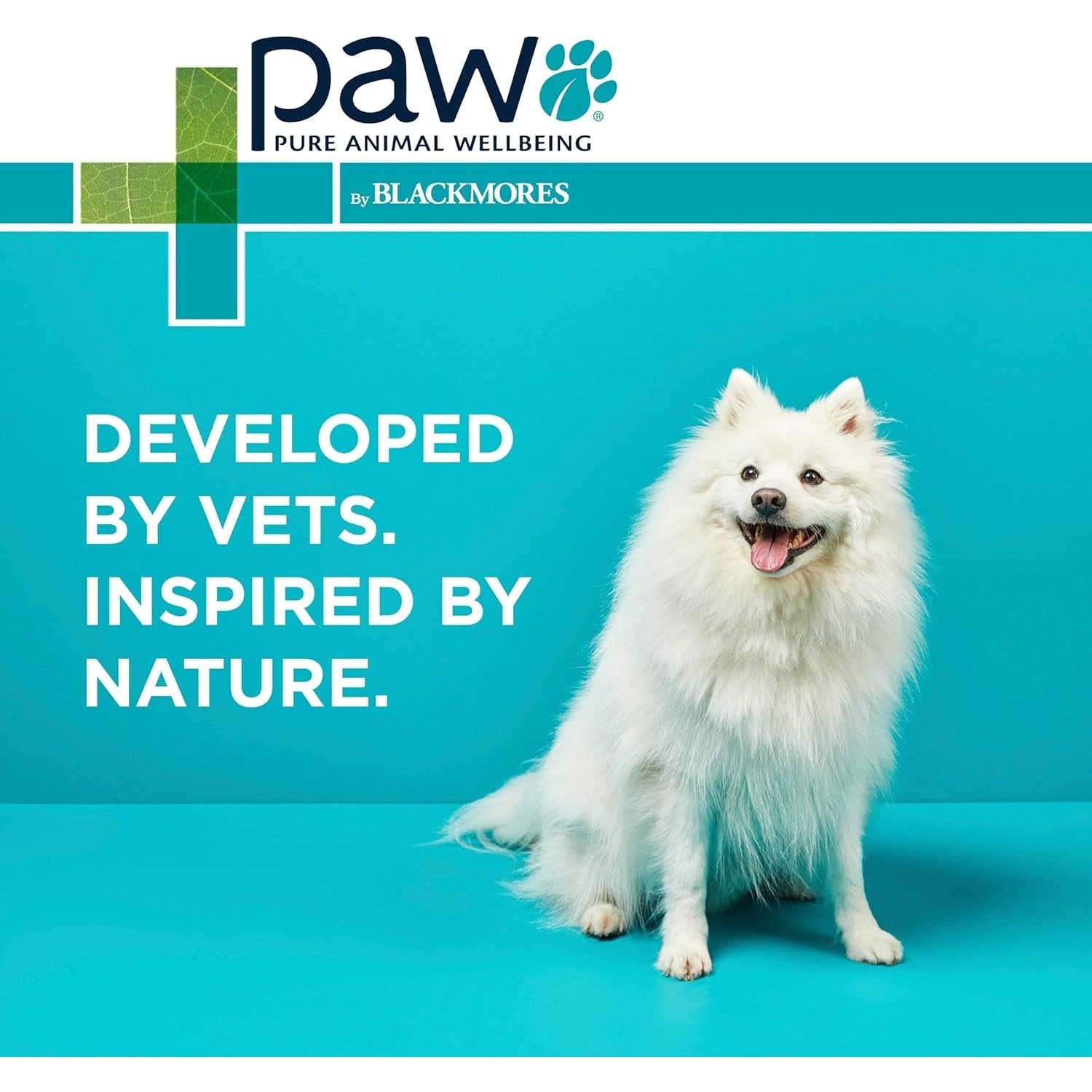 PAW By Blackmores MediDerm Gentle Medicated Shampoo (For Dogs) 500ml - Cutprice Online