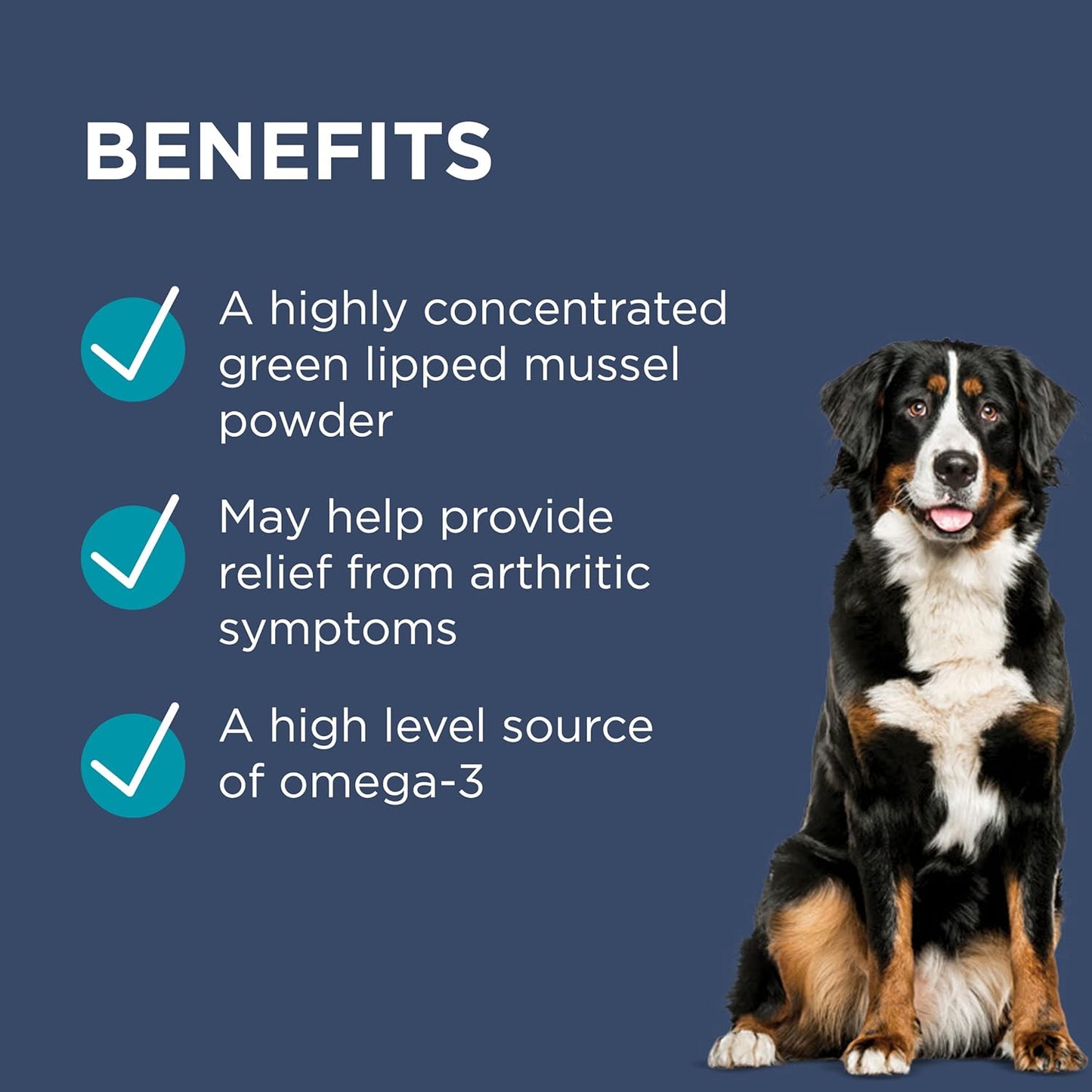 PAW By Blackmores OsteoSupport Joint Care (Powder For Dogs) 150c - Cutprice Online
