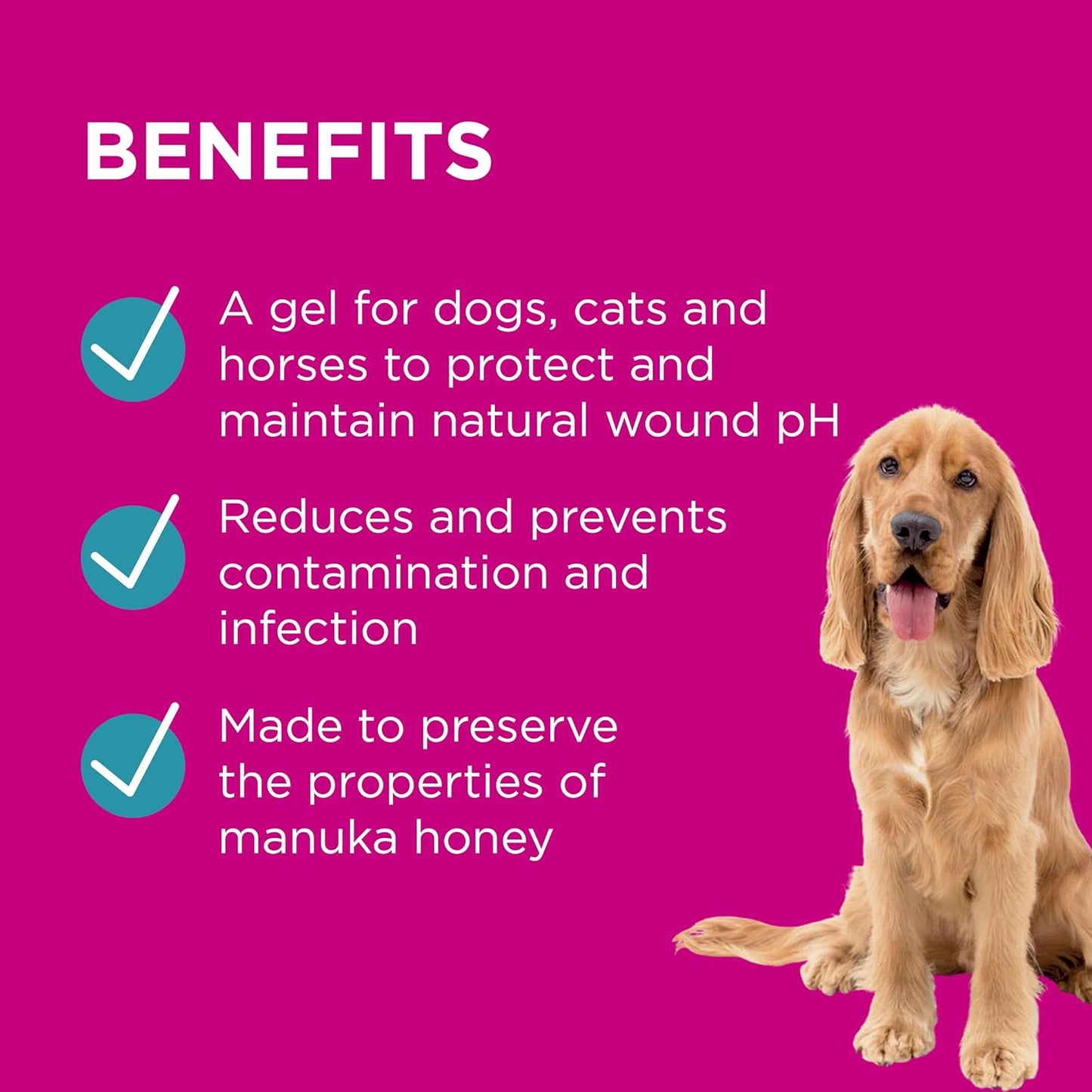 PAW By Blackmores Manuka Wound Gel (+ Protective Barrier For Wound Care) 100g - Cutprice Online