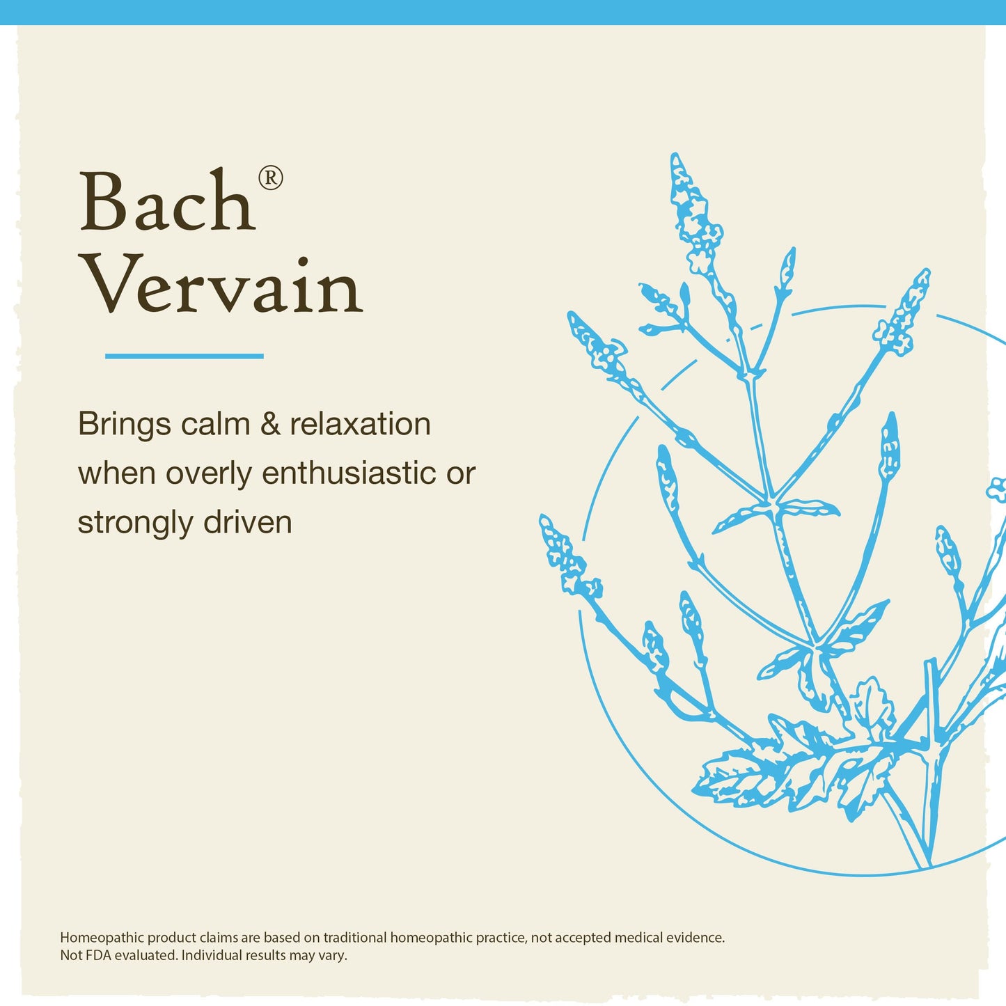 Bach Flower Remedies Vervain 20ml Bach Flower