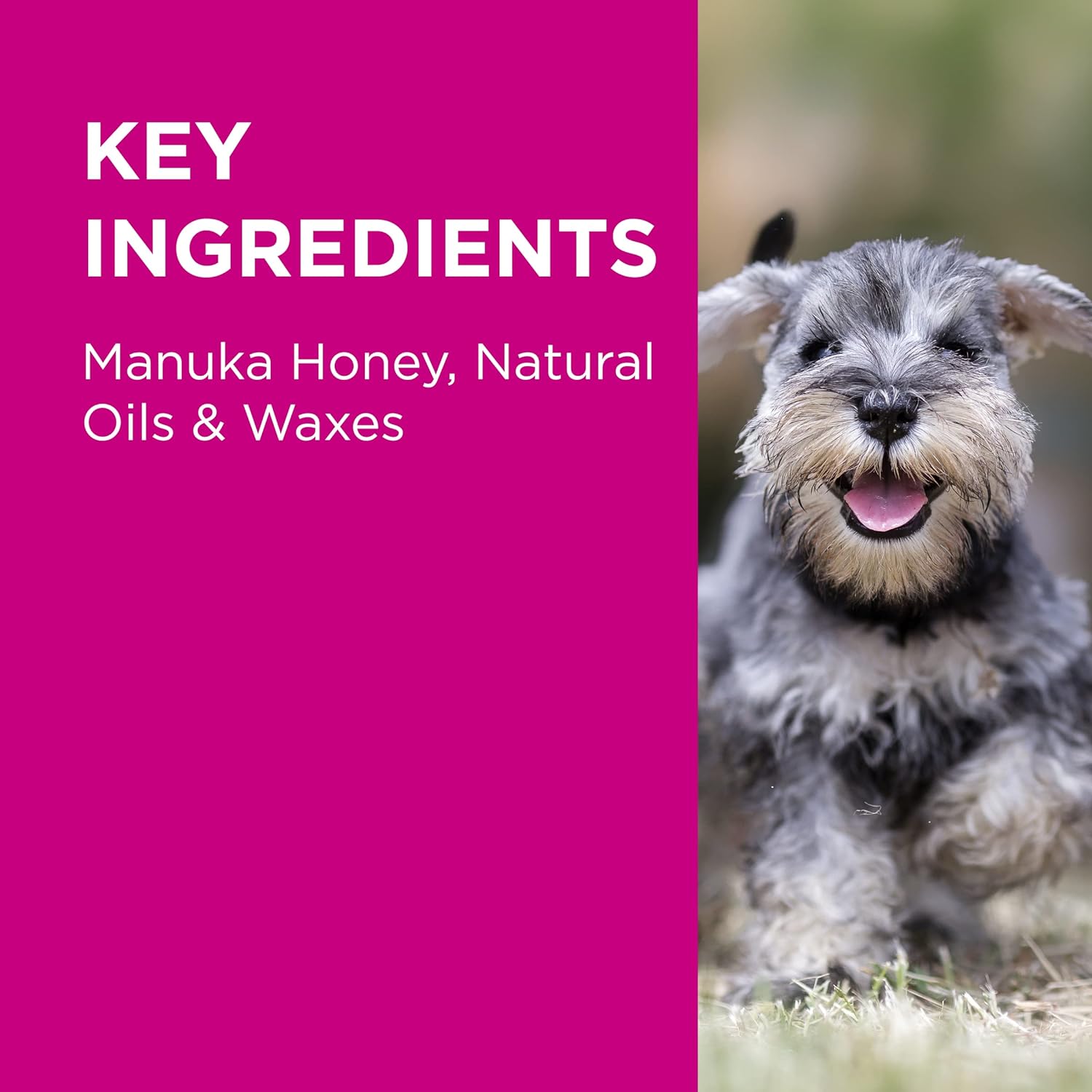 PAW By Blackmores Manuka Wound Gel (+ Protective Barrier For Wound Care) 100g - Cutprice Online