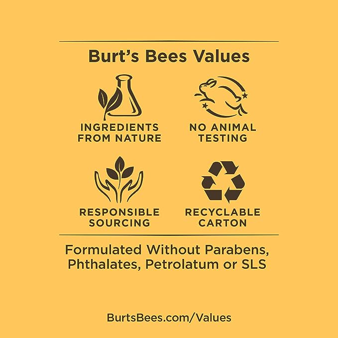 Burt's Bees Lip Balm Advanced Relief Eucalyptus 4.25g - Cutprice Online