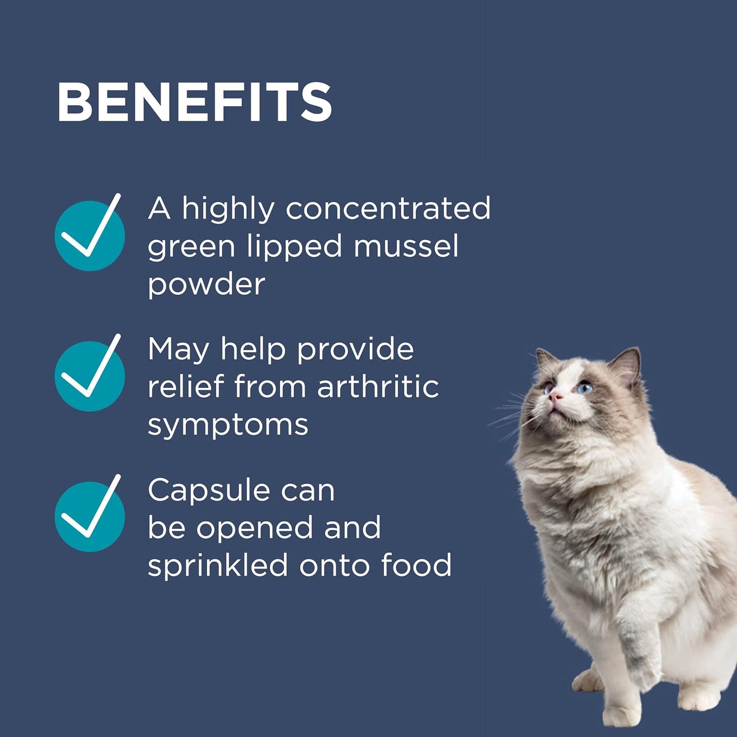 PAW By Blackmores OsteoSupport Joint Care (Powder For Cats) 60c - Cutprice Online