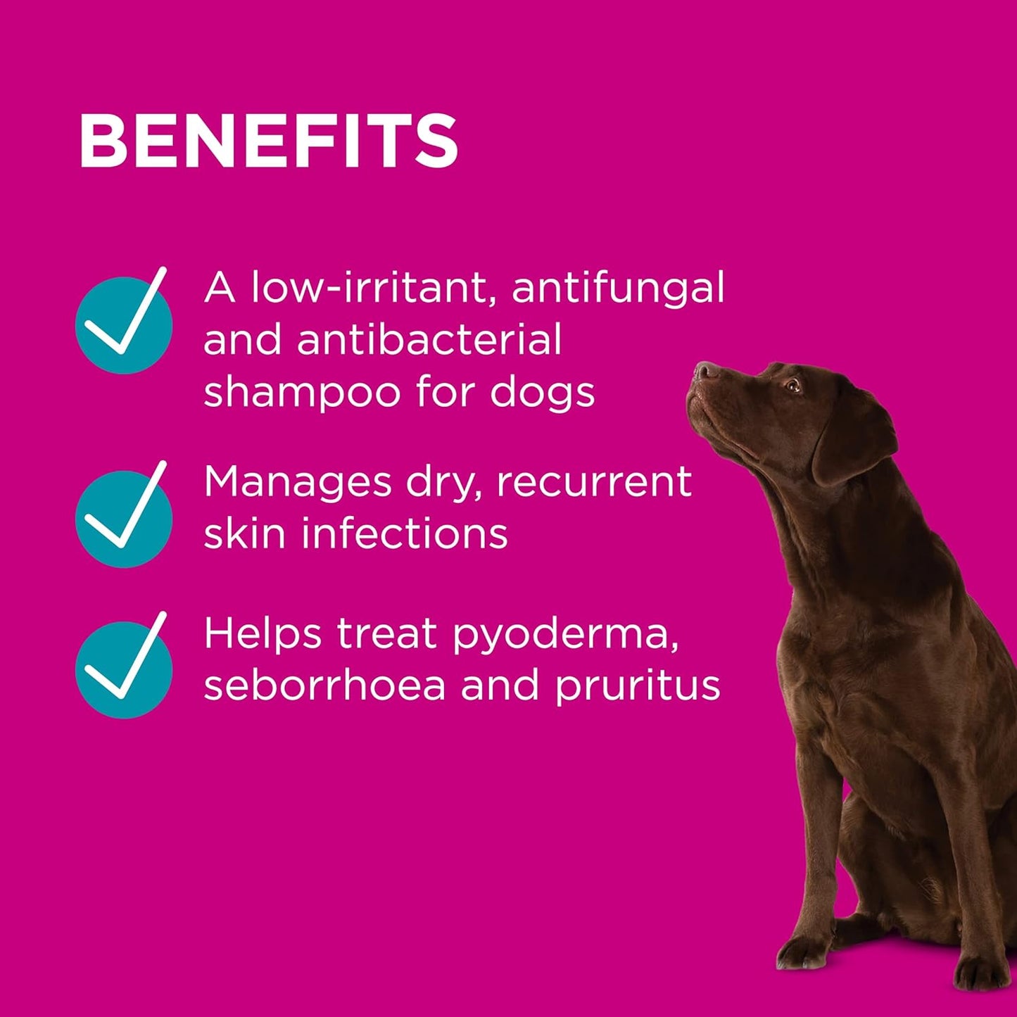 PAW By Blackmores MediDerm Gentle Medicated Shampoo (For Dogs) 500ml - Cutprice Online