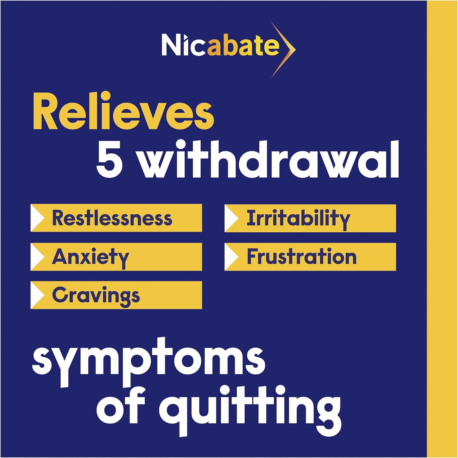 Nicabate Extra Fresh Mint Gum Quit Smoking 4mg 100 Pack
