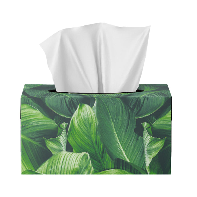 Sorbent Comfort Silky White Facial Tissue 250 Pack