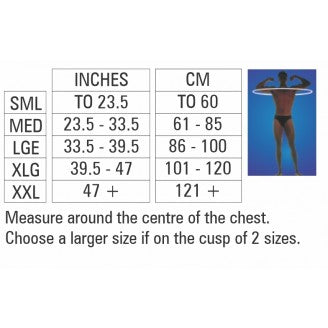 Body Assist the Posture Improver - Cutprice Online