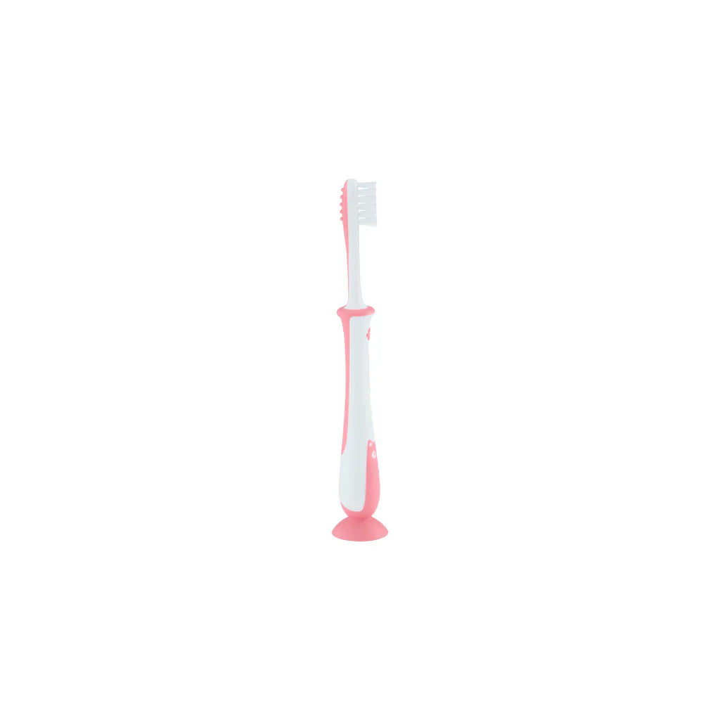 Pigeon Training Toothbrush Lesson 4 pink