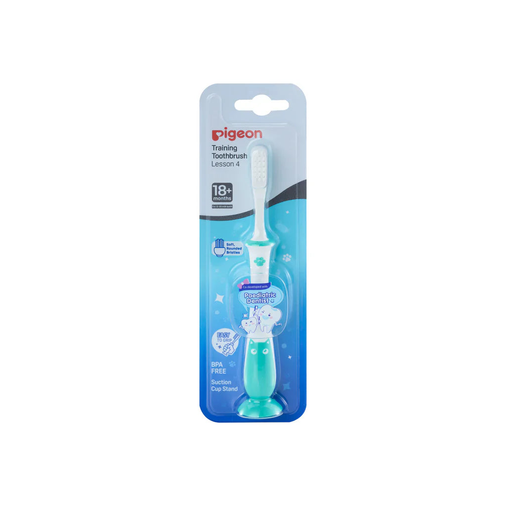 Pigeon Training Toothbrush Lesson 4 Mint
