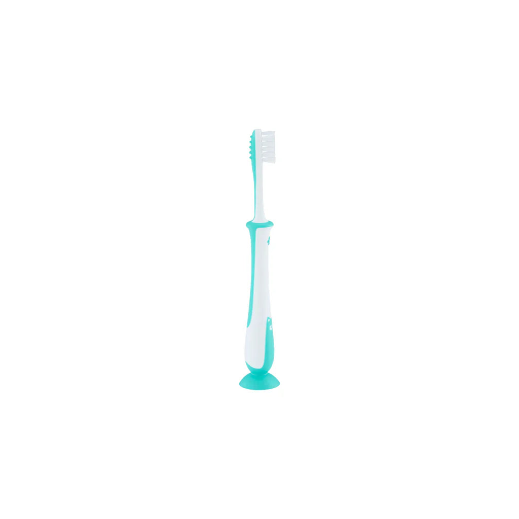 Pigeon Training Toothbrush Lesson 4 Mint