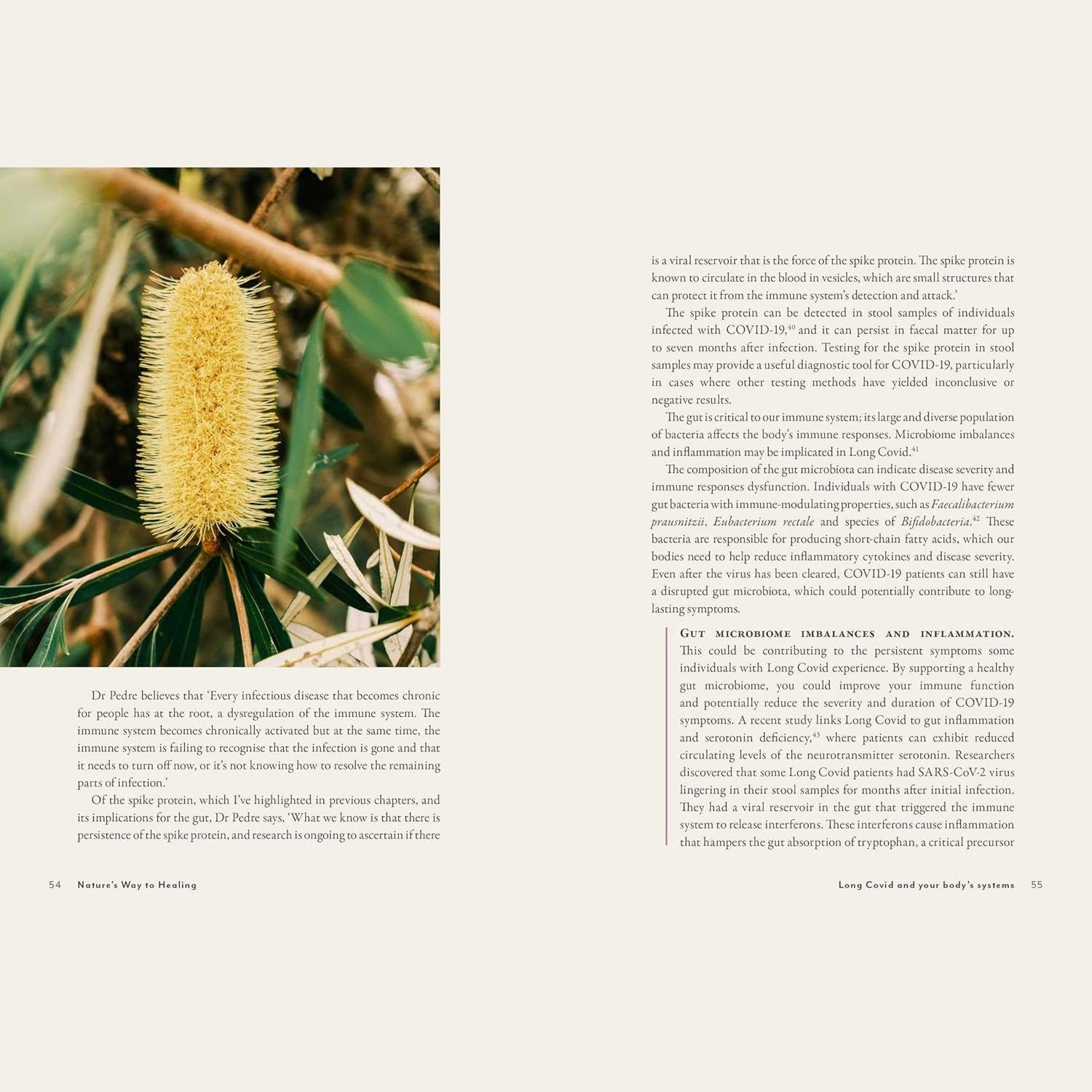 Supercharged Food Nature's Way To Healing: A Long Covid Guide by Lee Holmes - Cutprice Online