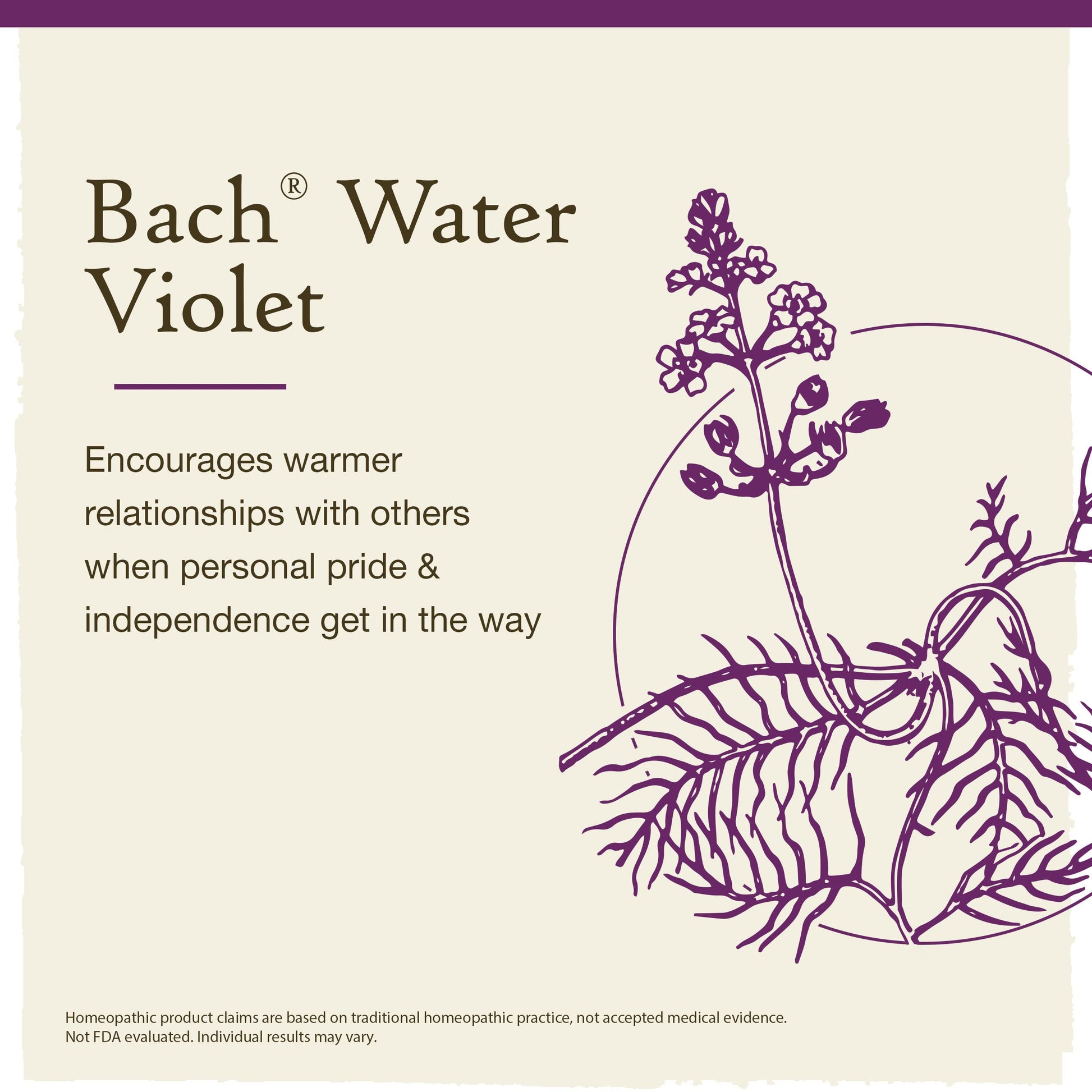 Bach Flower Remedies Water Violet 20ml Bach Flower