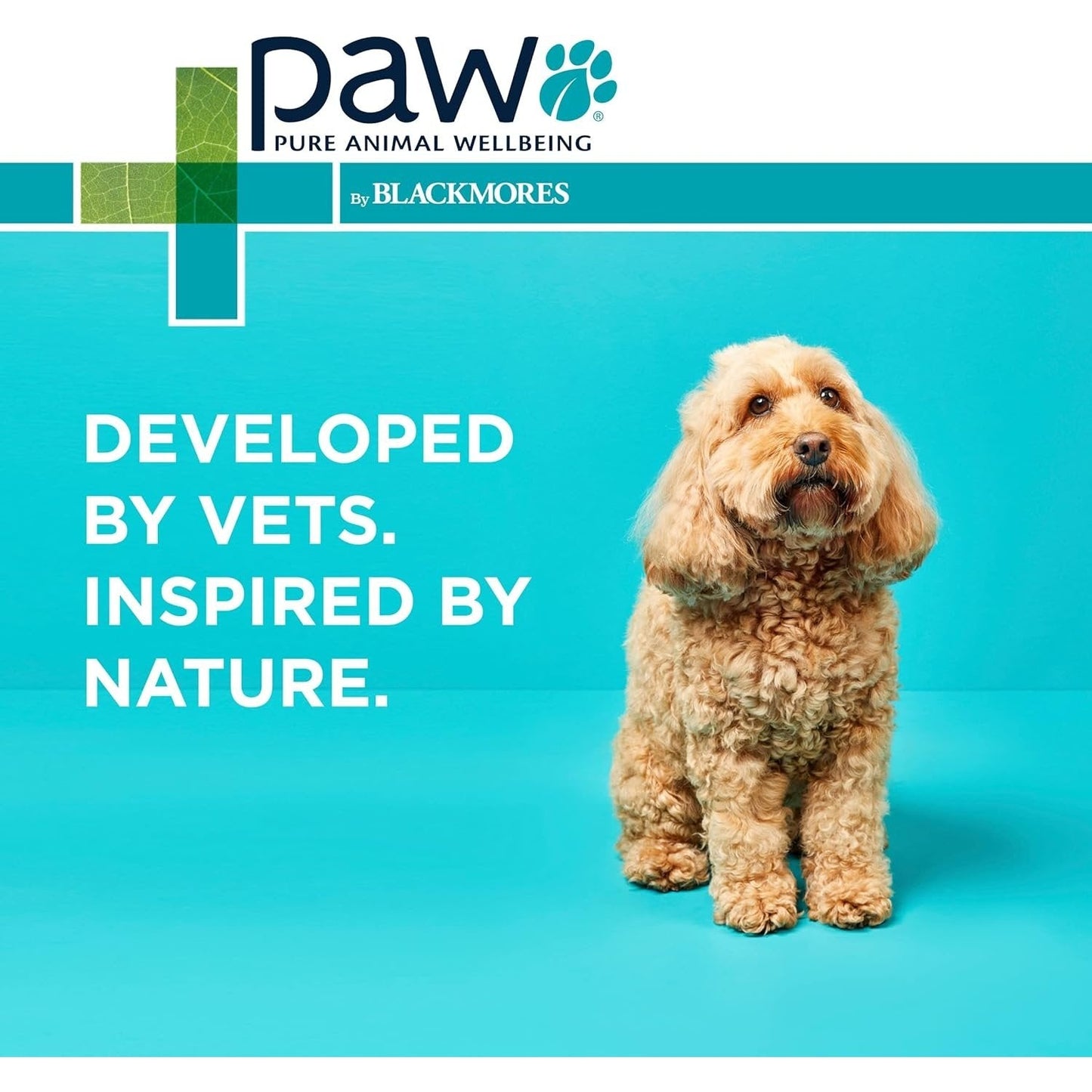 PAW By Blackmores OsteoCare Joint Protect (For Dogs approx 100 Chews) 500g - Cutprice Online
