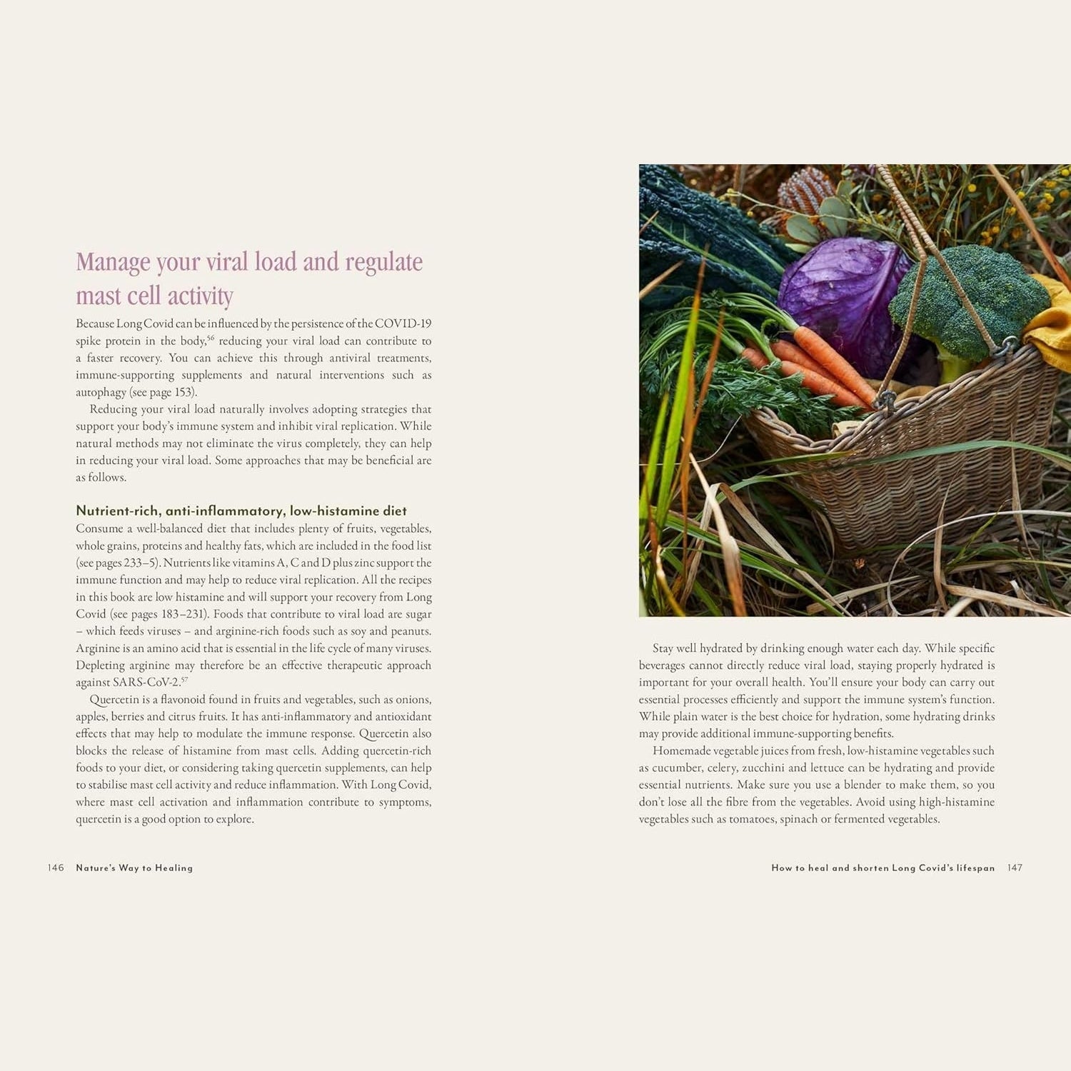 Supercharged Food Nature's Way To Healing: A Long Covid Guide by Lee Holmes - Cutprice Online