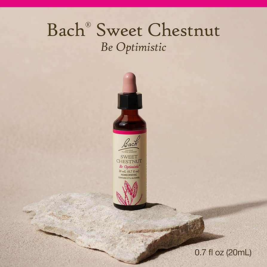 Bach Flower Remedies Sweet Chestnut 20ml Bach Flower