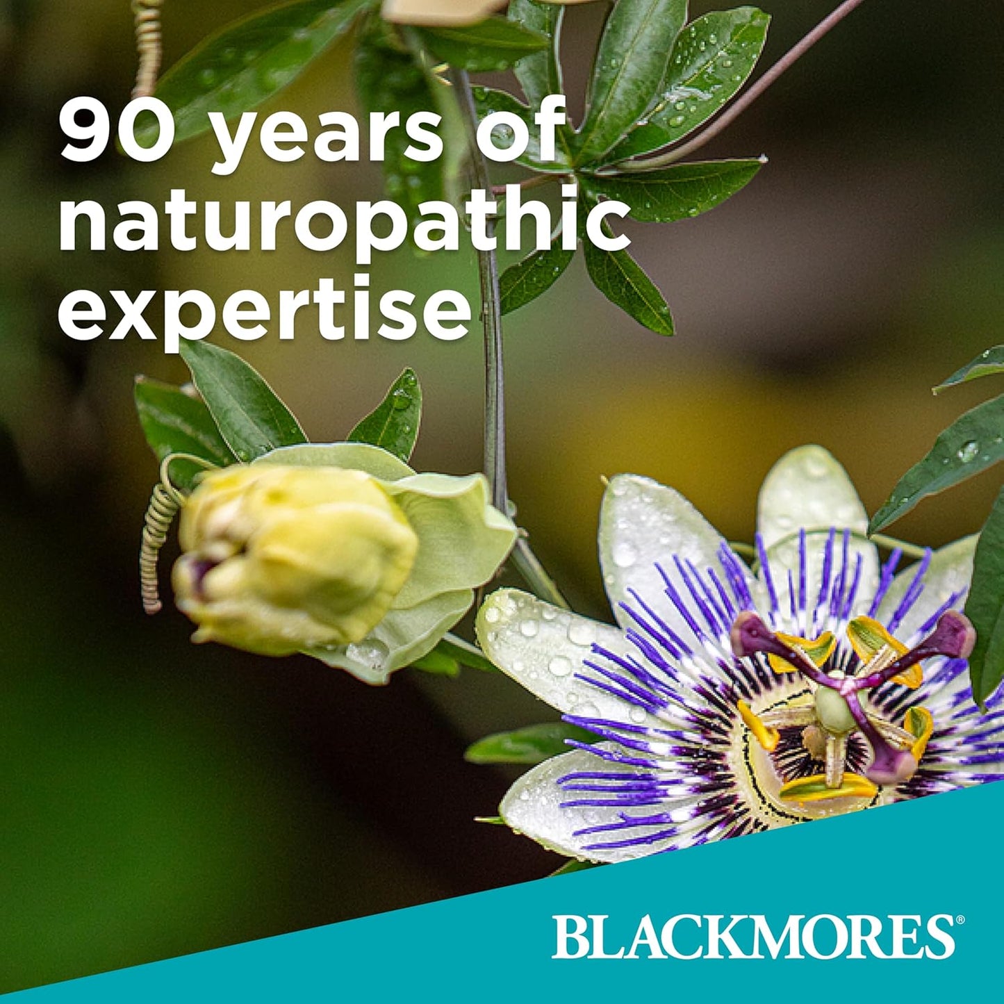 Blackmores Concentrated Curcumin One-A-Day 60s