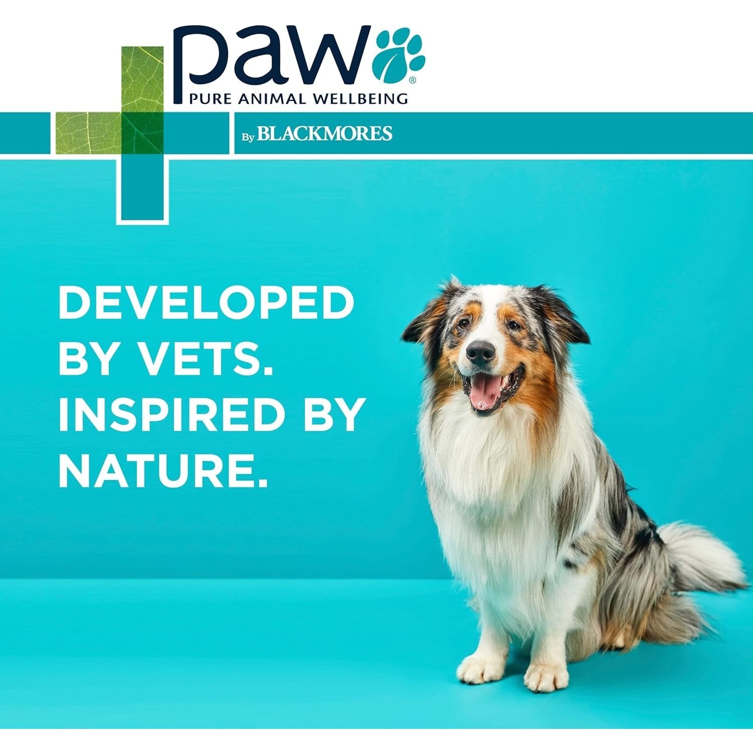 PAW By Blackmores OsteoSupport Joint Care (Powder For Dogs) 150c - Cutprice Online