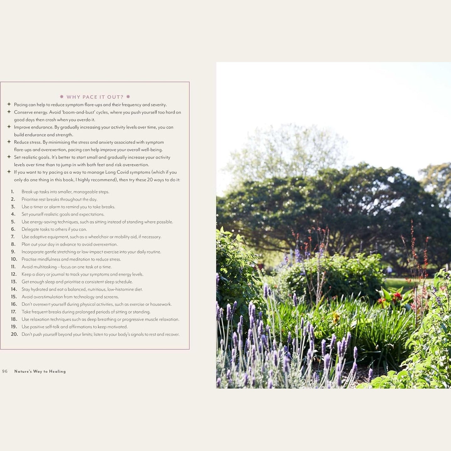 Supercharged Food Nature's Way To Healing: A Long Covid Guide by Lee Holmes - Cutprice Online