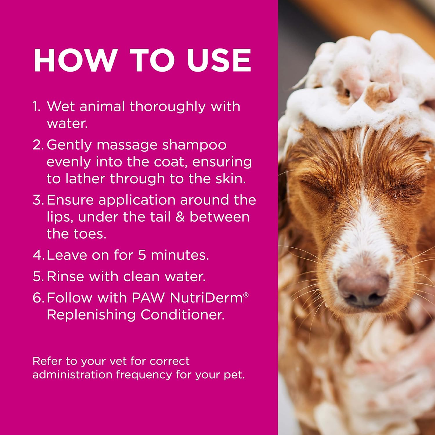 PAW By Blackmores MediDerm Gentle Medicated Shampoo (For Dogs) 500ml - Cutprice Online