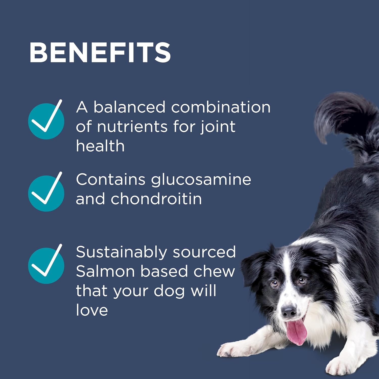 PAW By Blackmores OsteoCare Joint Protect (For Dogs approx 100 Chews) 500g - Cutprice Online