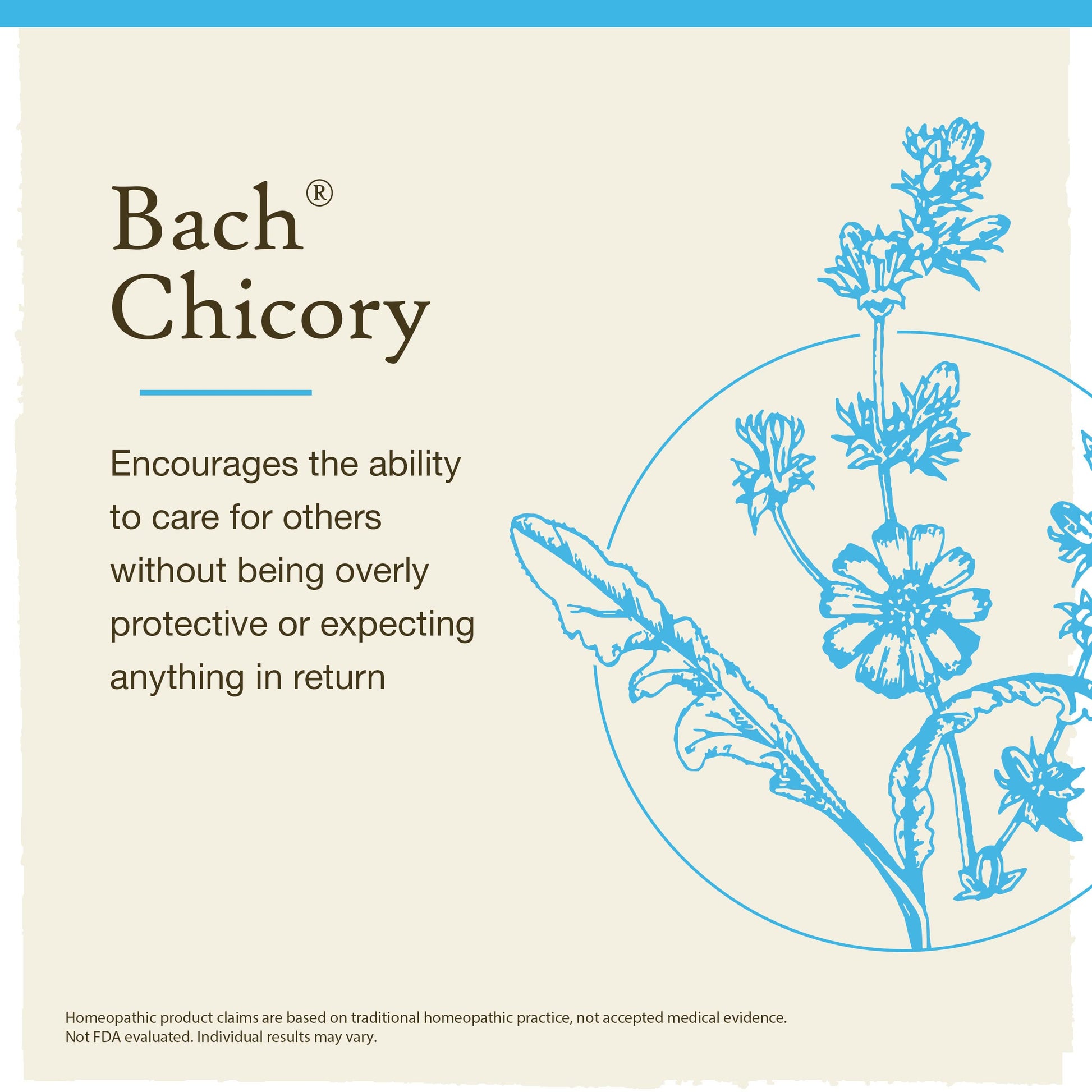 Bach Flower Remedies Chicory 20ml Bach Flower