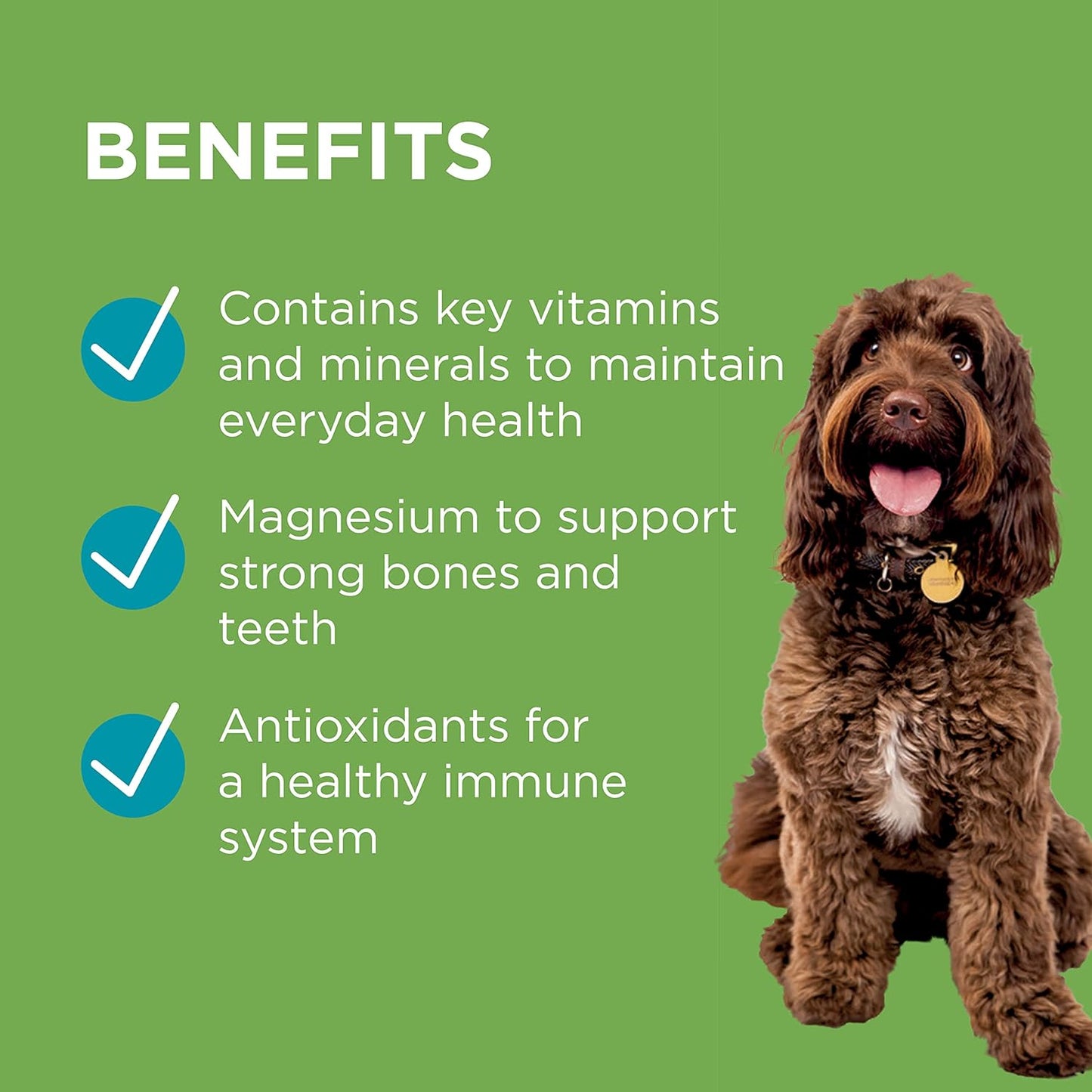PAW By Blackmores Wellness + Vitality (For Dogs approx 60 chews) 300g - Cutprice Online