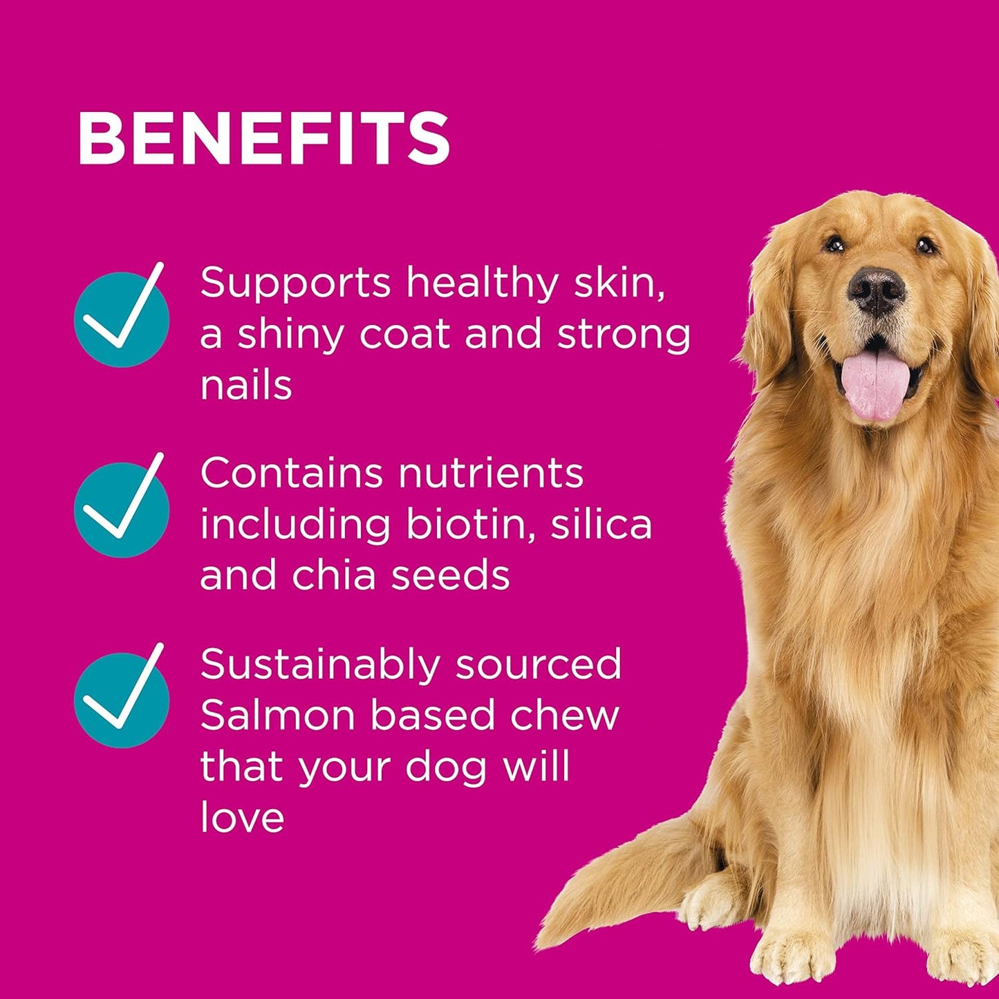 PAW By Blackmores Coat, Skin + Nails (For Dogs approx 60 Chews) 300g - Cutprice Online