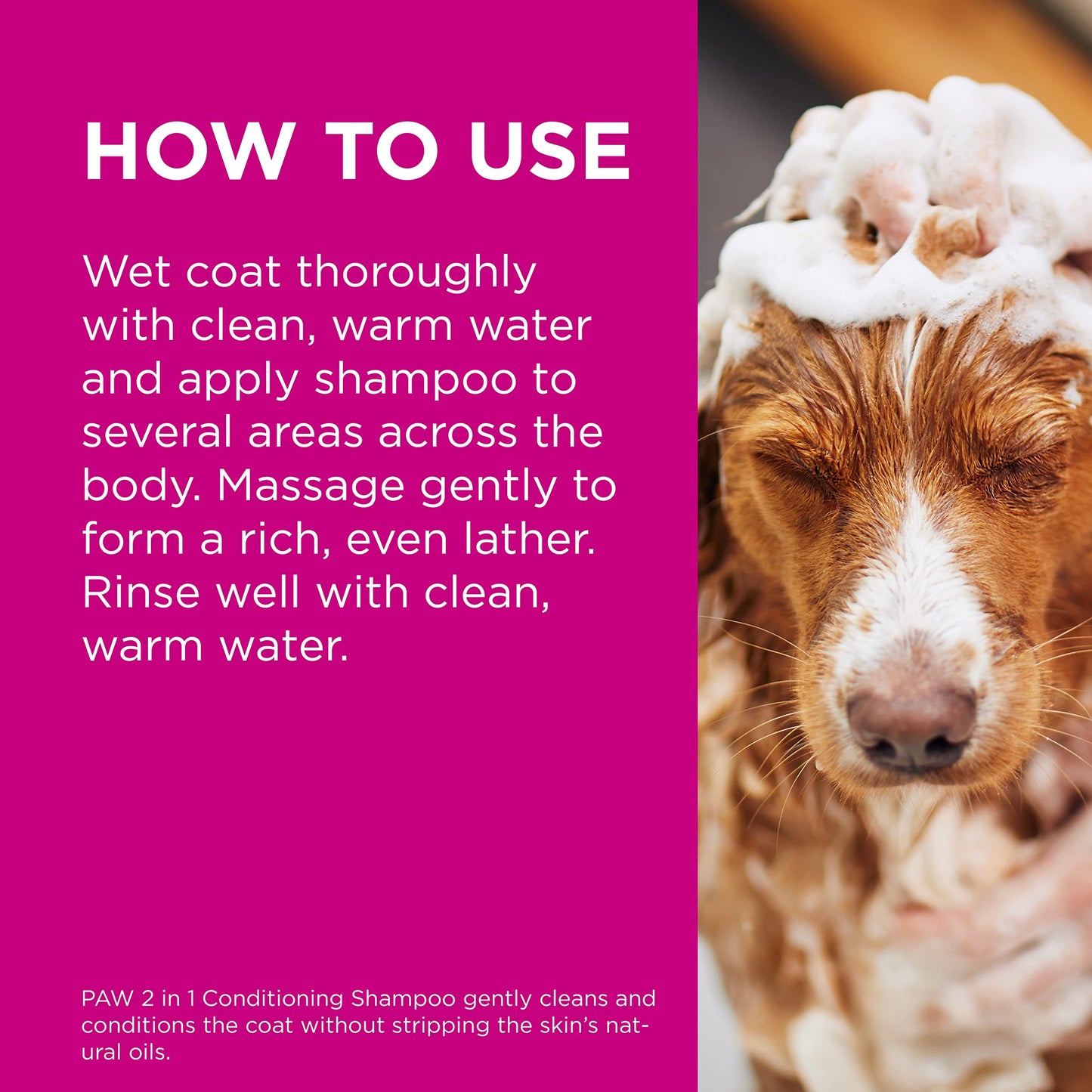 PAW 2-In-1 Conditioning Shampoo 500ml BLACKMORES