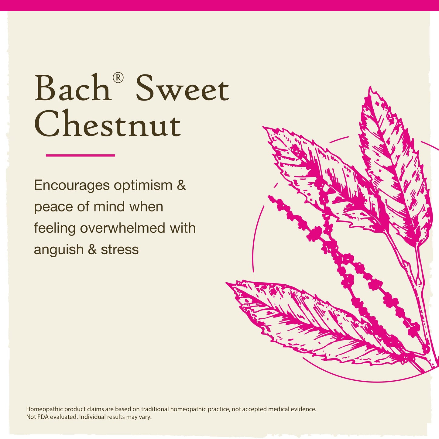 Bach Flower Remedies Sweet Chestnut 20ml Bach Flower