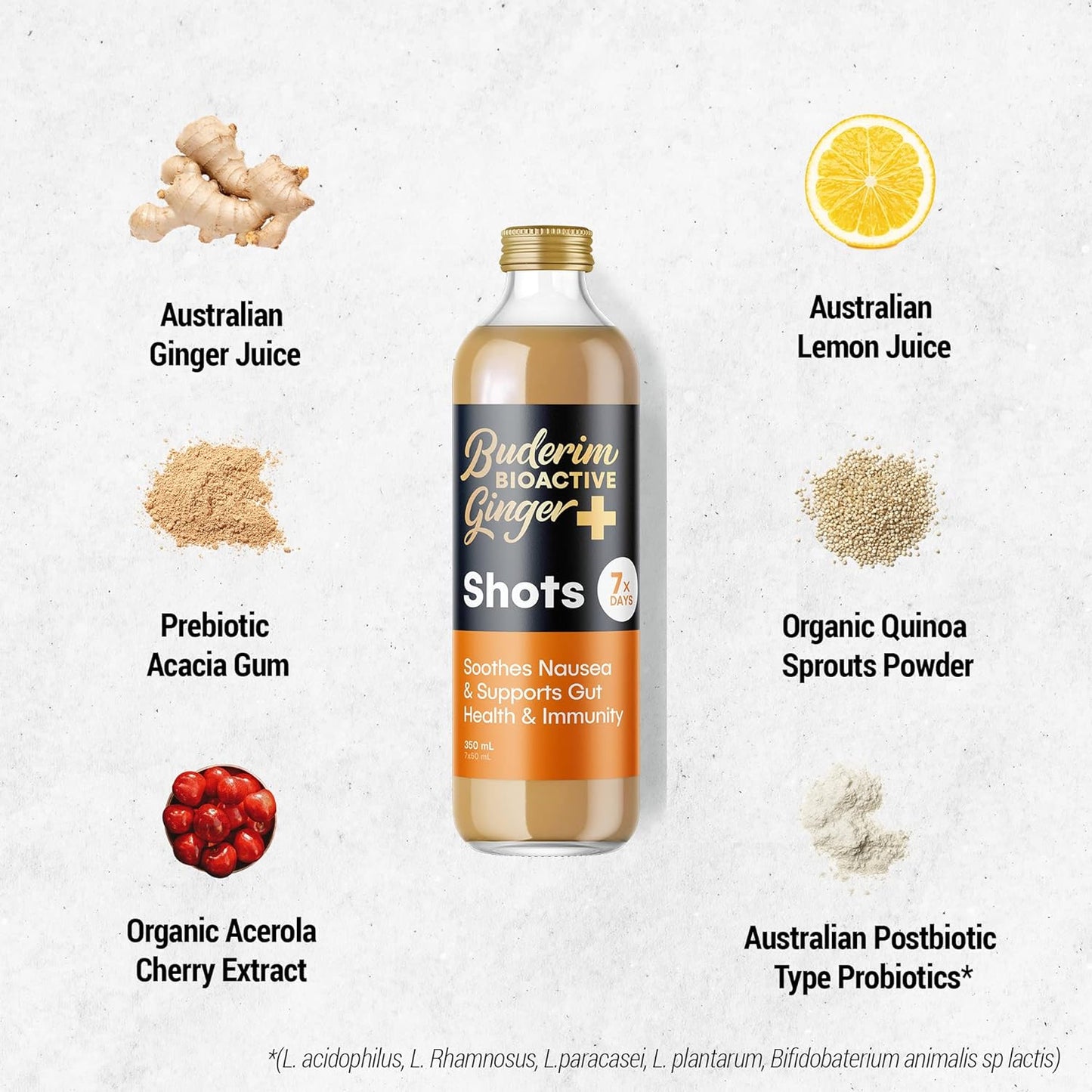 Buderim Ginger Bioactive + Immunity Shot 350ml - Cutprice Online