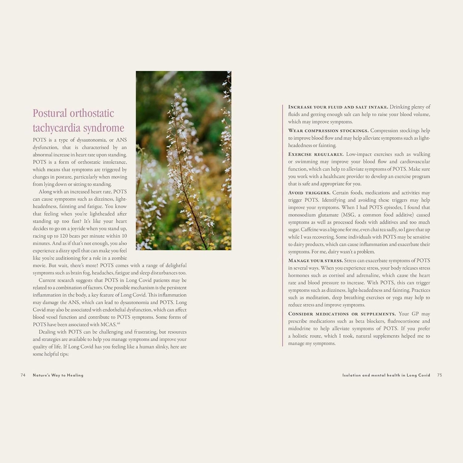 Supercharged Food Nature's Way To Healing: A Long Covid Guide by Lee Holmes - Cutprice Online