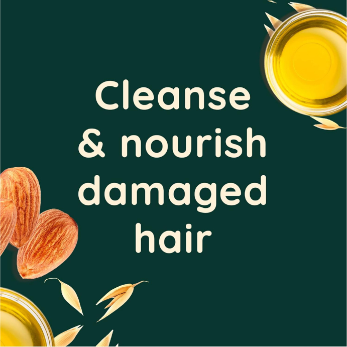 Aveeno Damage Repair+ Almond Oil Blend Shampoo 354mL