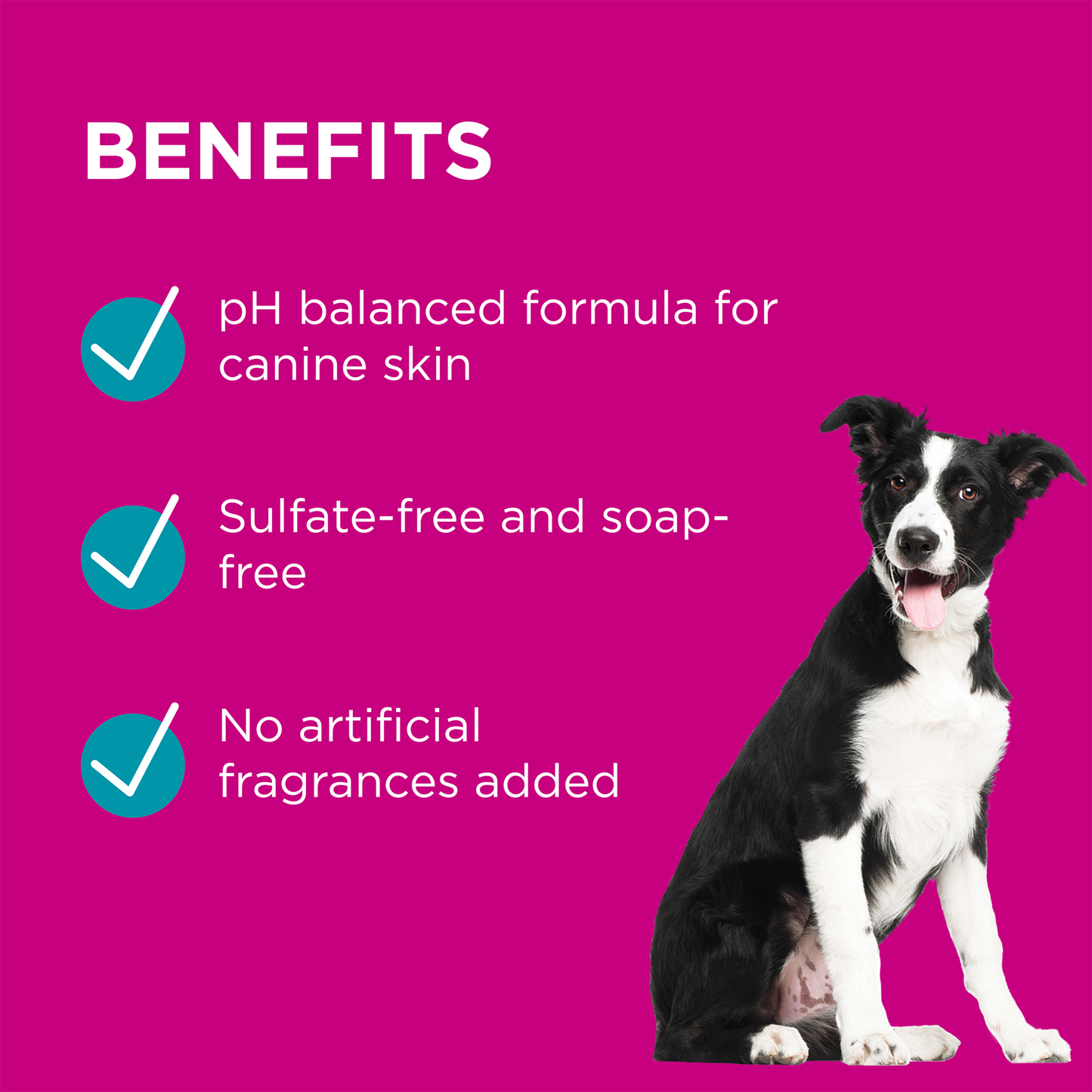 PAW BY BLACKMORES Conditioner & Groom Mist 200ml BLACKMORES