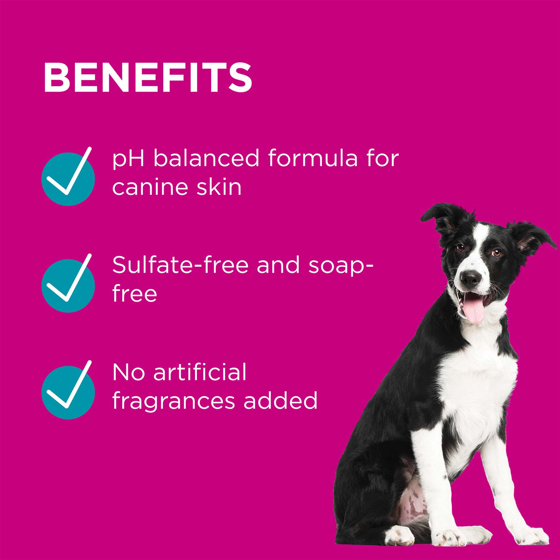 PAW BY BLACKMORES Conditioner & Groom Mist 200ml BLACKMORES