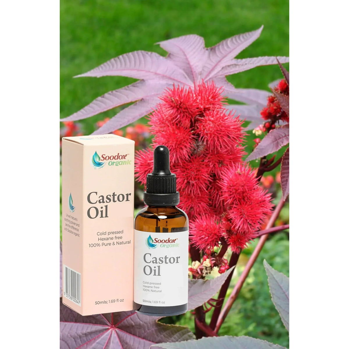 Soodox Organic Castor Oil 50ml