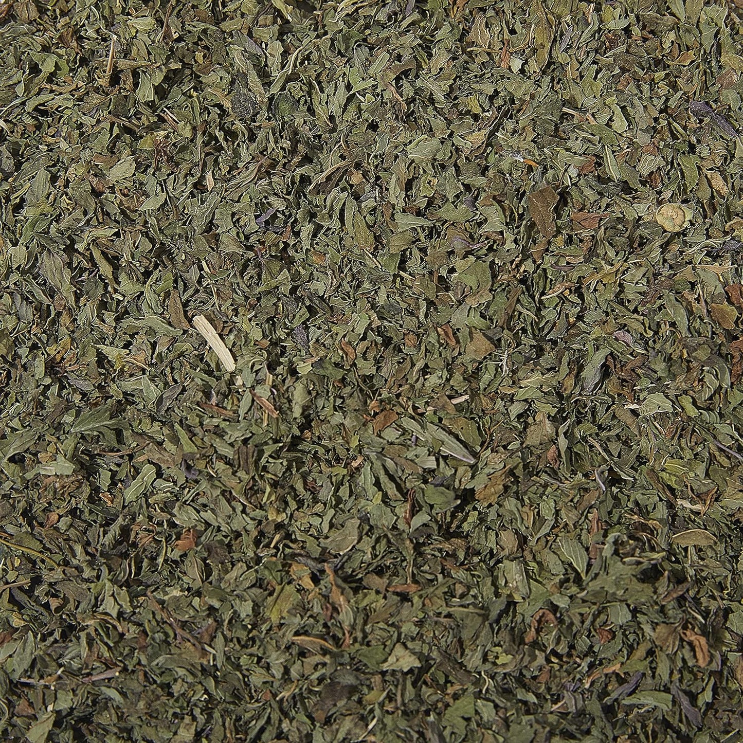 Tea Tonic Organic Peppermint Tea Caddy Tin 95g - Cutprice Online