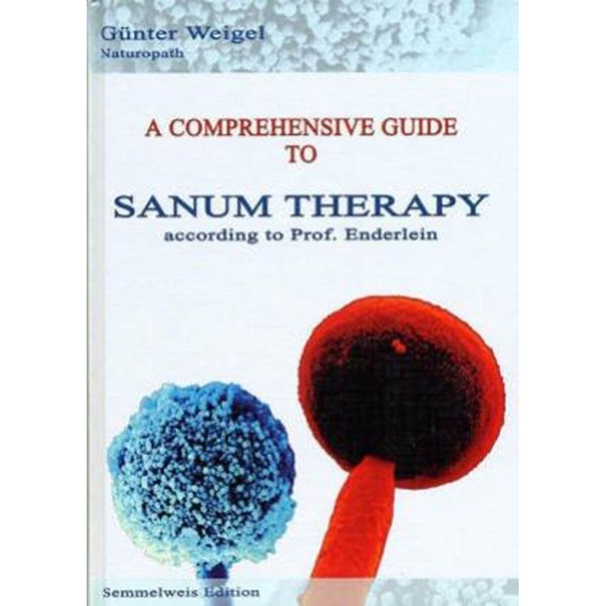A Comprehensive Guide to Sanum Therapy according to Prof. Enderlein by Gunter Weigel - Cutprice Online