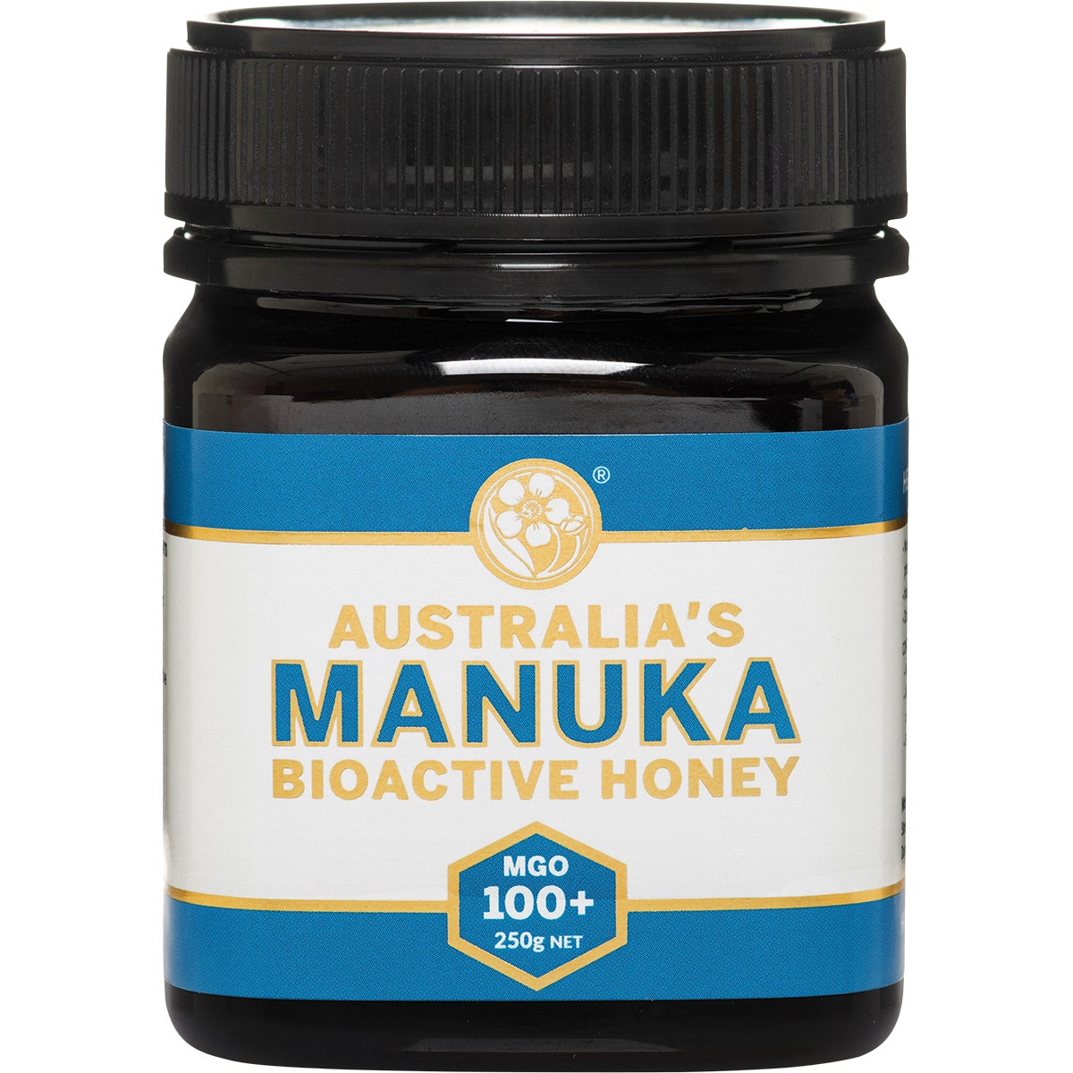 Australia's Manuka Bioactive Honey MGO 100+ 250g - Cutprice Online