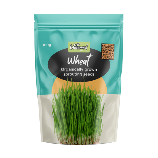 Untamed Health Wheat Sprouting Seeds 100g Untamed Health