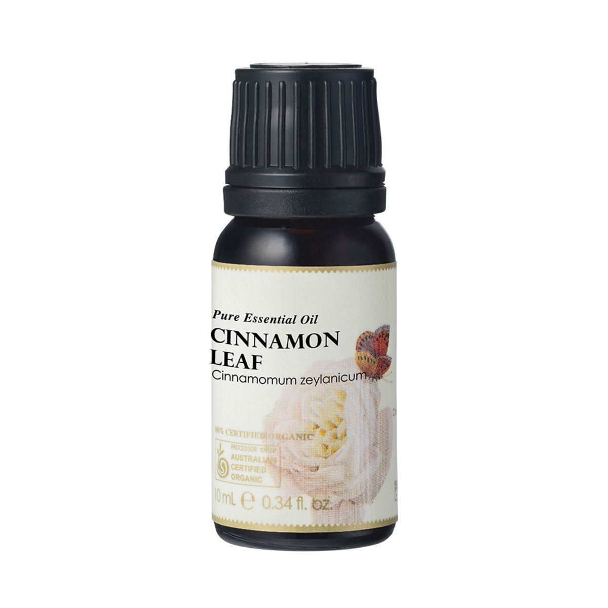 Ausganica Organic Essential Oil Cinnamon Leaf 10ml - Cutprice Online