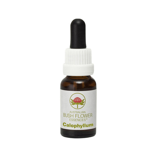 Australian Bush Flower Essences Calophyllum 15ml Australian Bush Flower