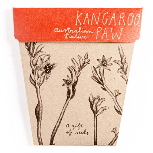 SOW 'N SOW Gift Of Seeds Kangaroo Paw 1 SOW 'N SOW