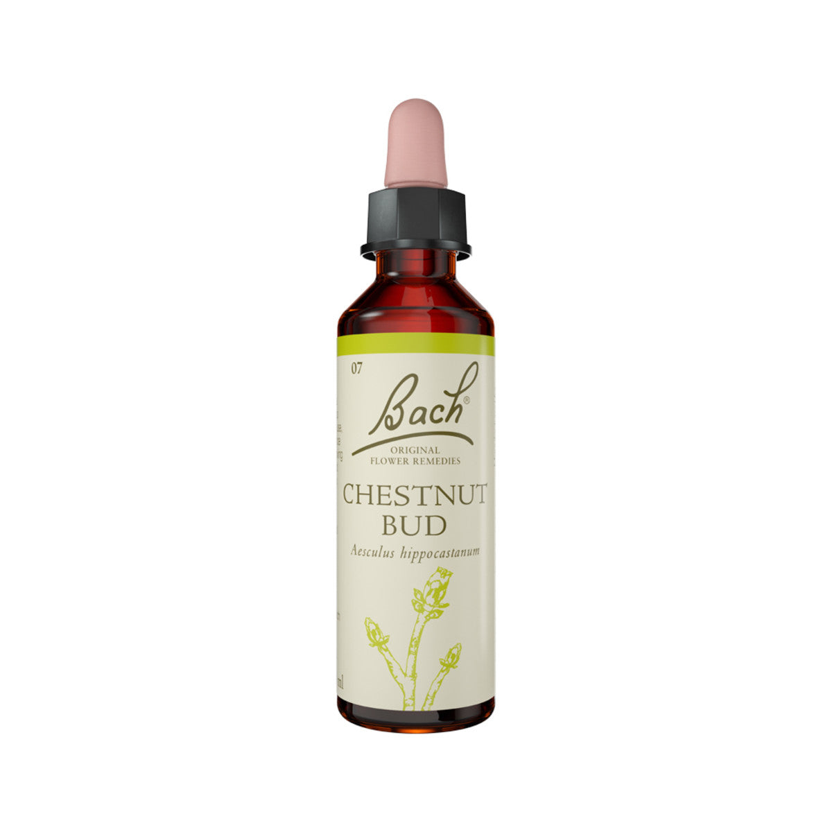 Bach Flower Remedies Chestnut Bud 20ml Bach Flower