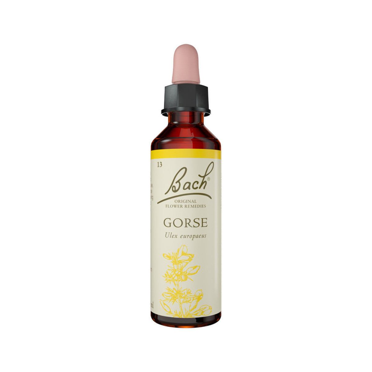 Bach Flower Remedies Gorse 20ml Bach Flower