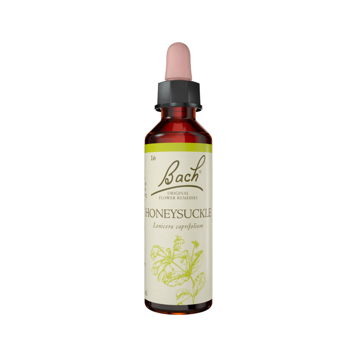 Bach Flower Remedies Honeysuckle 20ml Bach Flower