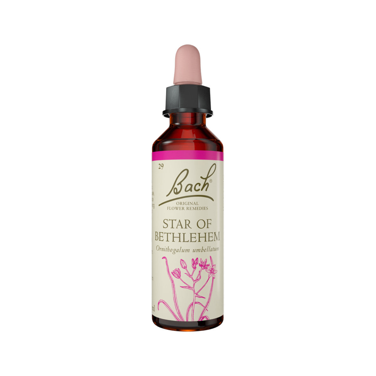 Bach Flower Remedies Star of Bethlehem 20ml Bach Flower