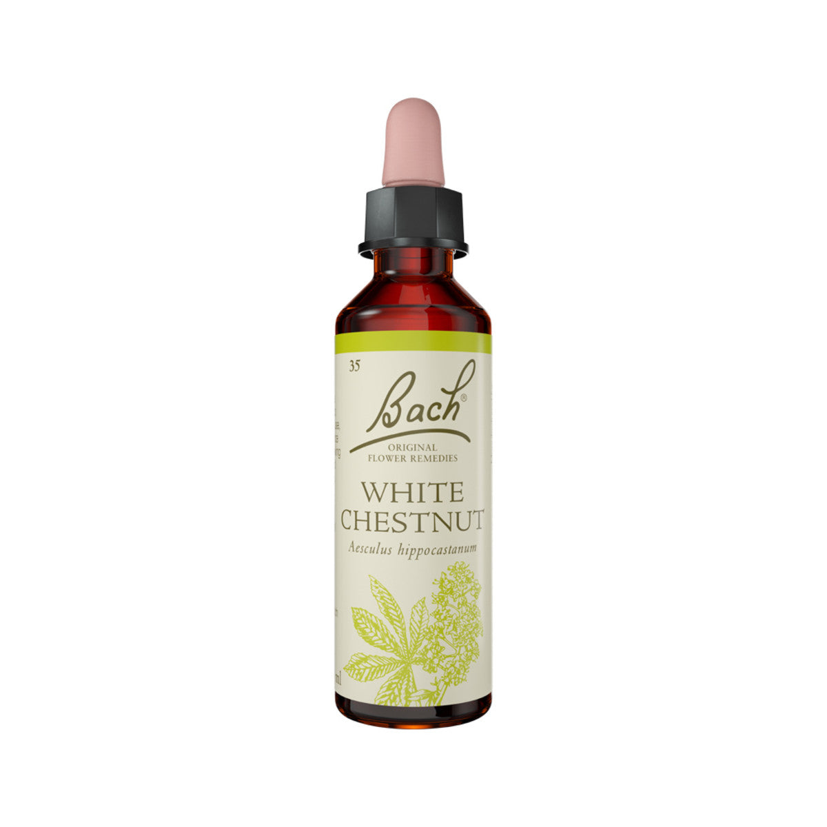 Bach Flower Remedies White Chestnut 20ml Bach Flower