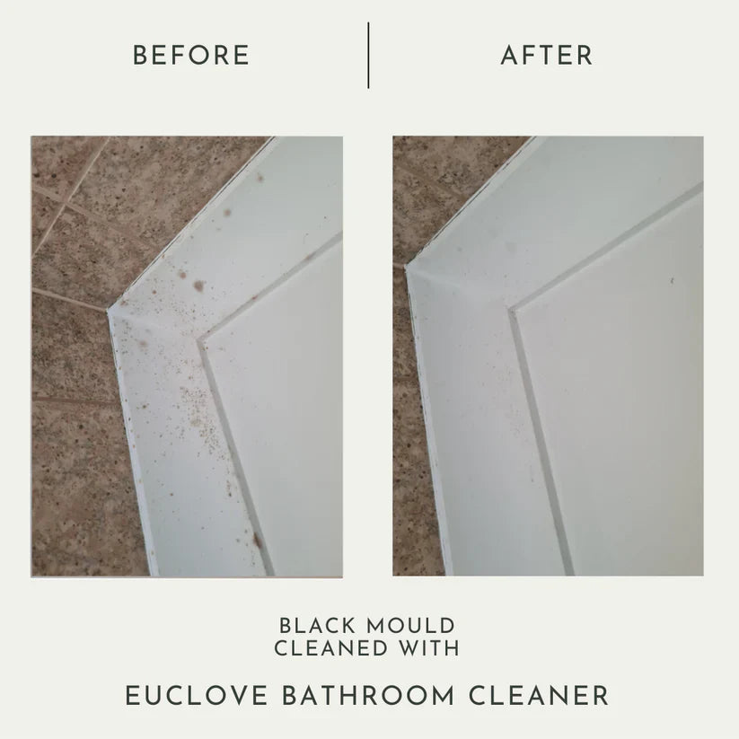 Euclove Bathroom 1L - Cutprice Online