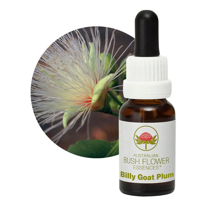 Australian Bush Flower Essences Billy Goat Plum 15ml - Cutprice Online